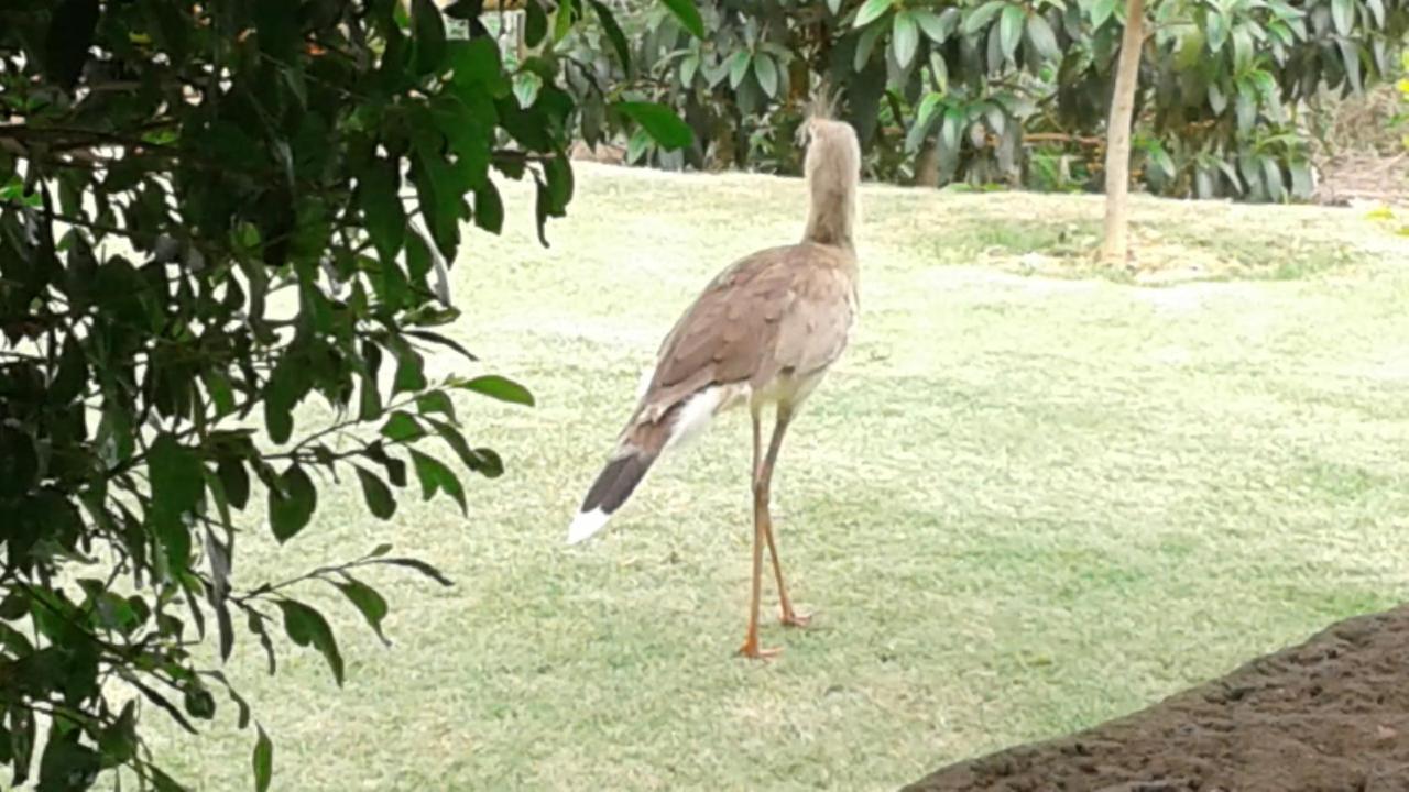 Pousada Chacara Familia H Caratinga Экстерьер фото